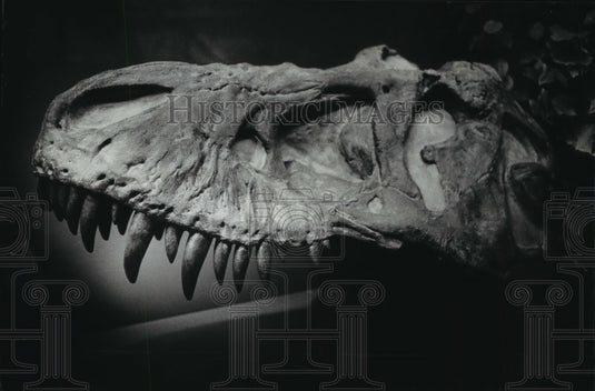 1983 Milwaukee Museum exhibits "The Third planet-Earth" - Historic Images