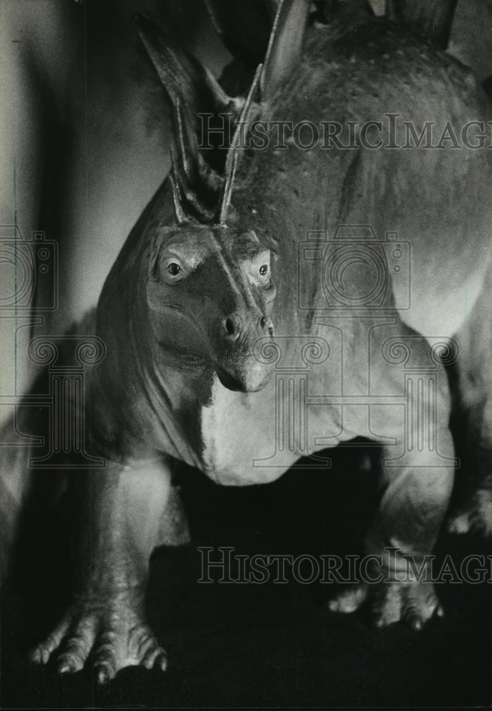 1983 Press Photo A Stegosaurus on display at the Milwaukee Museum Exhibit - Historic Images