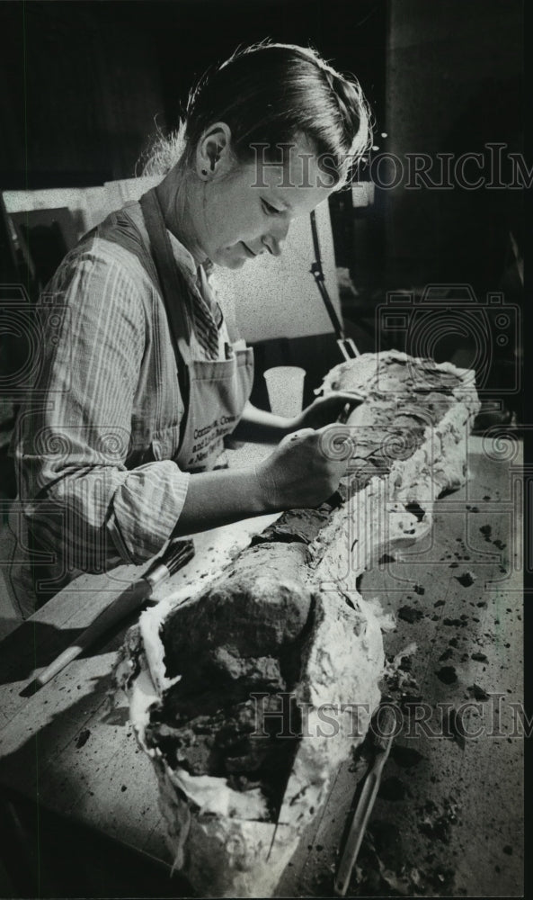1981 Diane Gabriel Cleans Triceratops Bones in Lobby of Museum-Historic Images