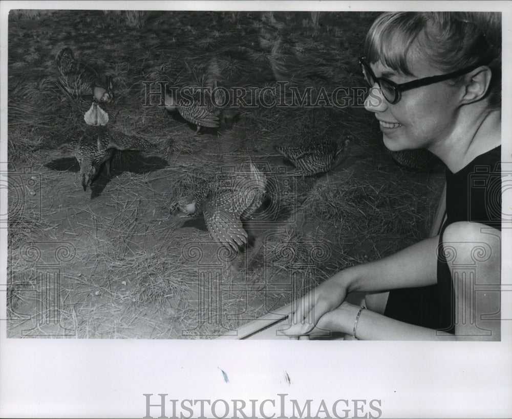 1966 Press Photo Girl viewing museum Prairie chicken exhibit, Milwaukee - Historic Images