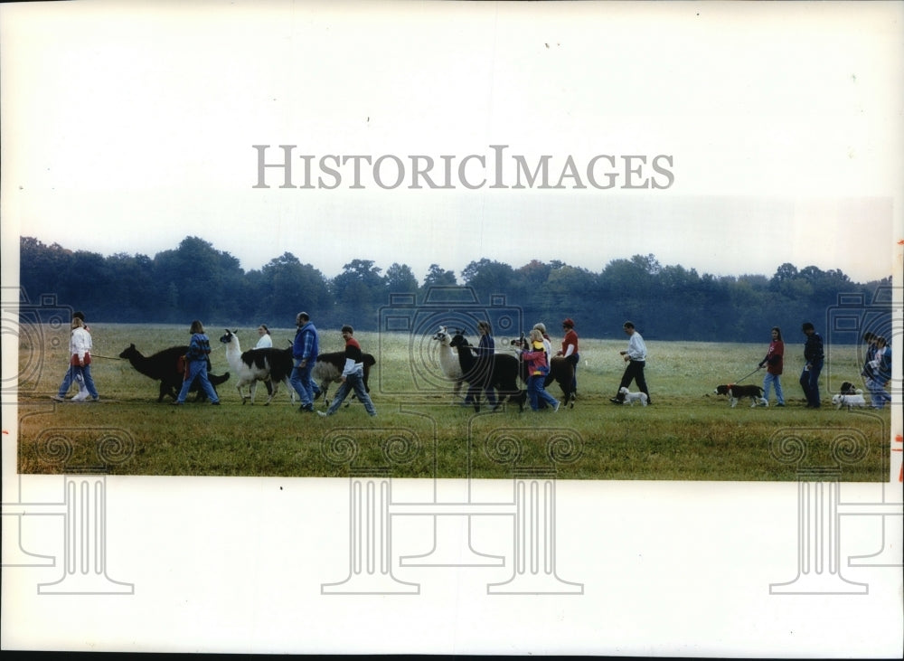 1993 Press Photo Elmbrook Humane Society Wag Walk in Mitchell Park in Brookfield - Historic Images