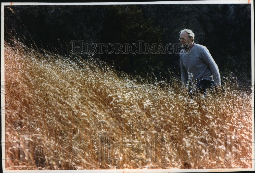 1993 Press Photo Marlin Johnson walks through a field of Little Bluestem. - Historic Images