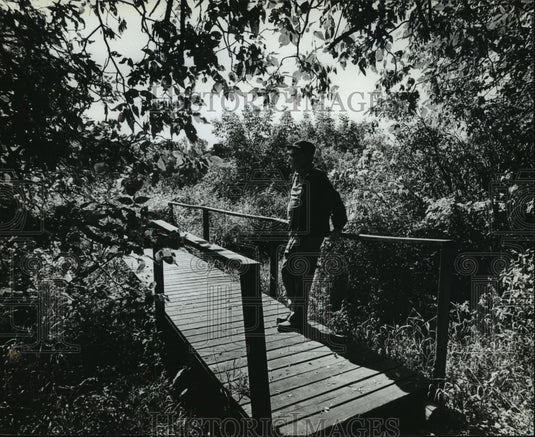 1982 Brookfield Wisconsin's Wirth Park Enjoyed By Desmond T. Foote - Historic Images