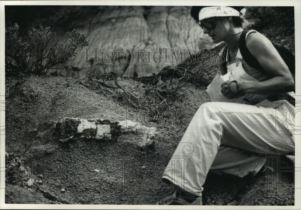 1990 Claudia Berghaus Examines Fossilized Dinosaur Bone In Montanta - Historic Images