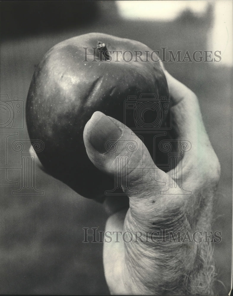 1983 Press Photo Zeno C. Elgas, created apple sculpture using right thumbnail. - Historic Images