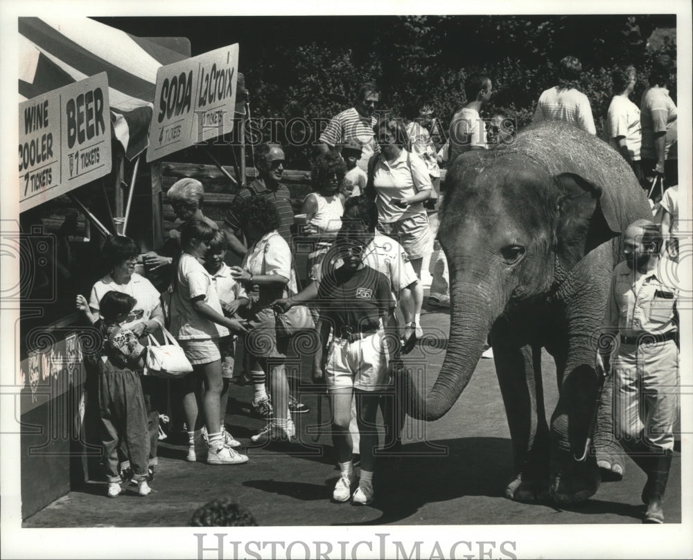 1989 Press Photo An elephant at the Milwaukee County Zoo a la Carte event - Historic Images