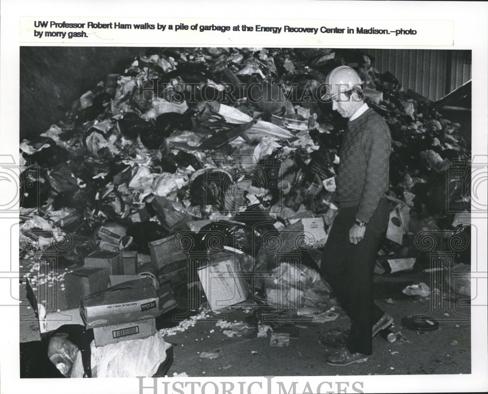 1990 Press Photo UW Professor Robert Ham at the Madison Energy Recovery Center - Historic Images