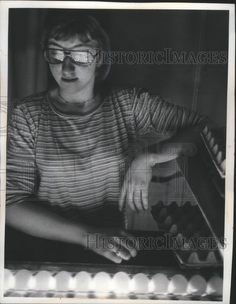 1977 Press Photo of Beth Klunpers in dark room sorting eggs on conveyor belt. - Historic Images