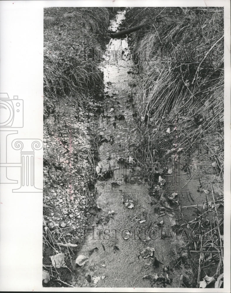 1971 Press Photo Pipe Pouring Waste Into Scummy Stream in Sheboygan County - Historic Images