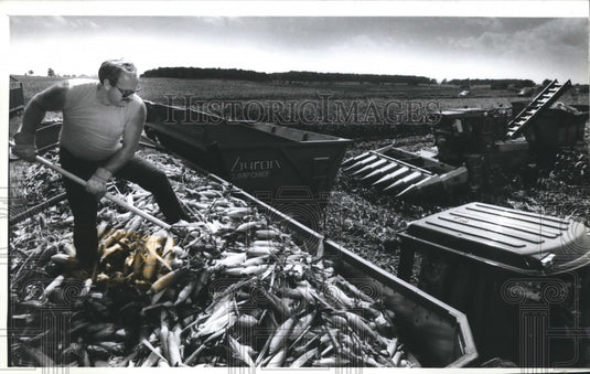 1993 Press Photo Greg Lawson of the Larsen Company evens out corn during harvest - Historic Images