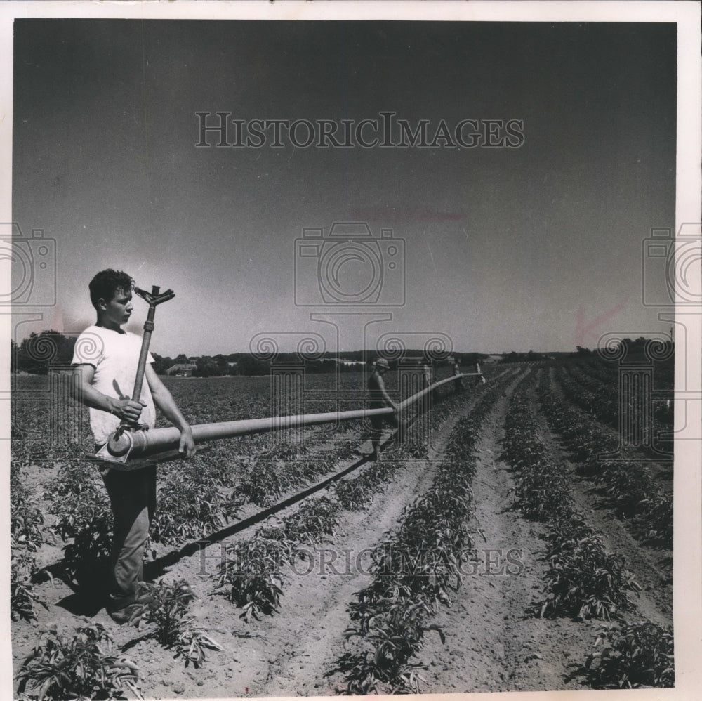 1966 Press Photo Jim Morgan holds a 120 foot 6 inch irrigation pipe on a farm - Historic Images