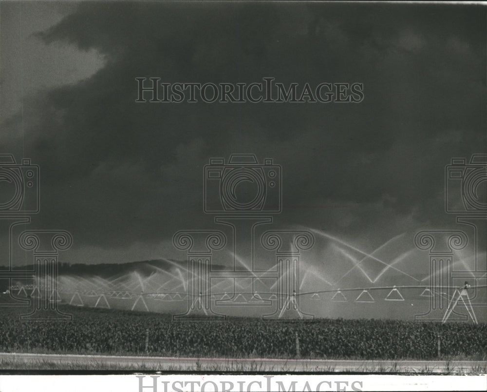 1977 Press Photo Water from an irrigation system waters corn on a farm - Historic Images