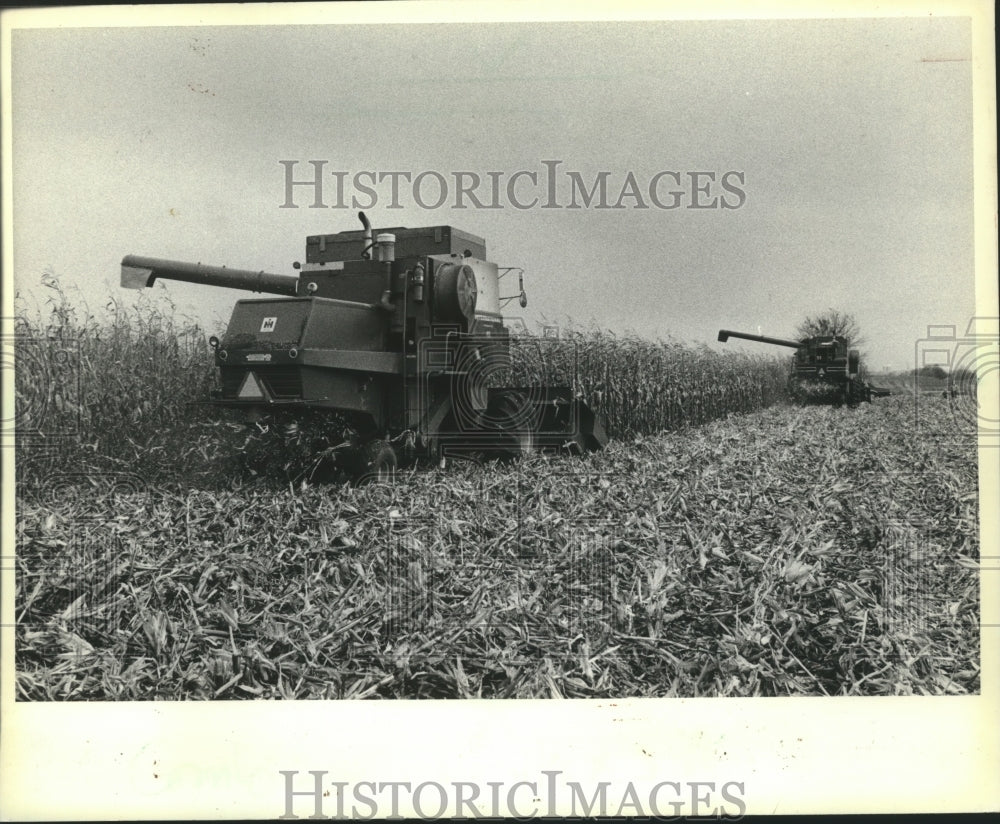 1982 Press Photo Combines in Corn Fields, Hodge Farm - Historic Images