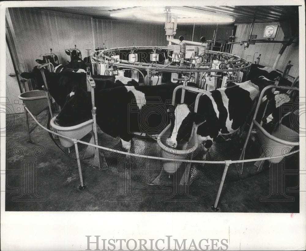 1978 Press Photo Ronald Luedtke Farm in Lomira Wisconsin Carousel Milking Parlor - Historic Images