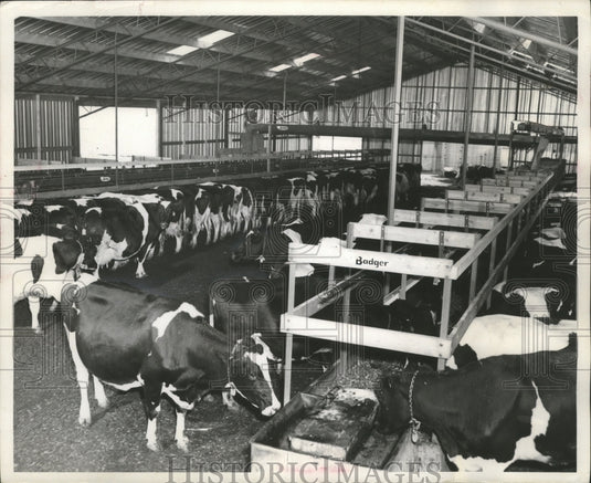 1966 Press Photo The Schmidt brother's farm feeding shed with two feed bunks-Historic Images