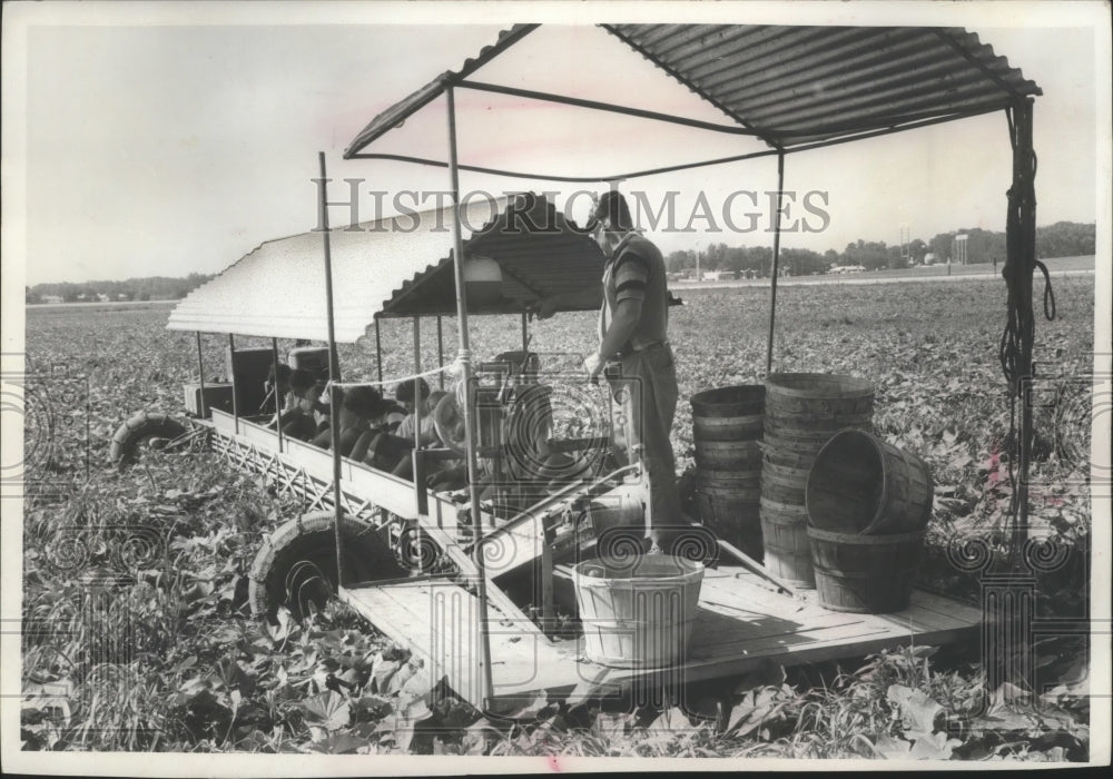 1968 Press Photo Crew leader Bernard Kasuboske manages a pickle picking machine-Historic Images