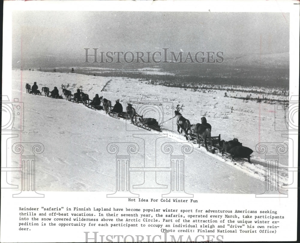 1980 Press Photo Reindeer Safaris Operating Out of Lapland, Finland - Historic Images