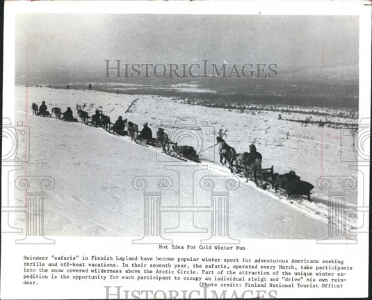 1980 Press Photo Reindeer Safaris Operating Out of Lapland, Finland - Historic Images