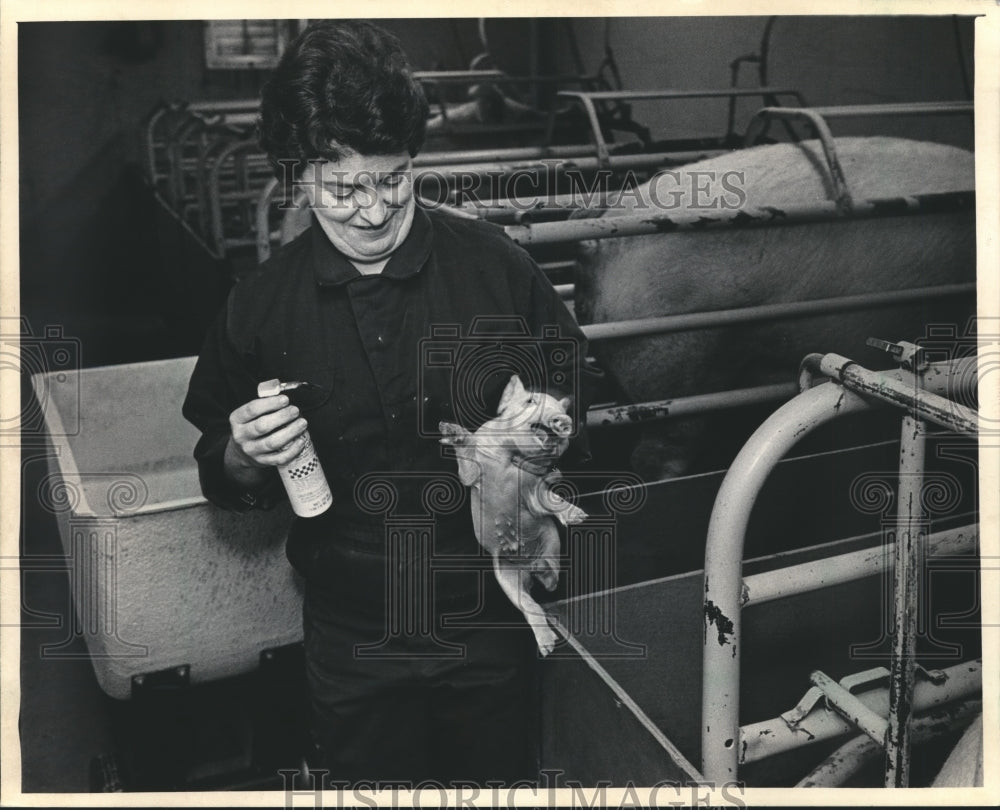 1985 Press Photo Dorothy Richards tends to a piglet on a farm near Lodi - Historic Images