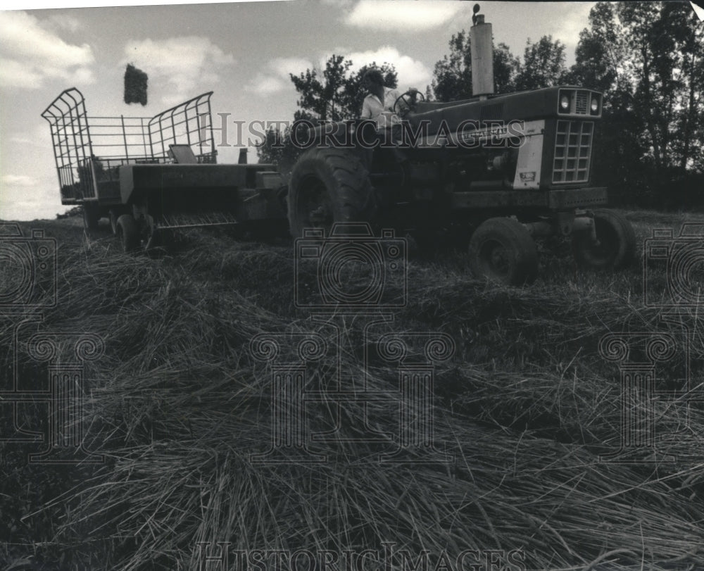 1993 Press Photo Fred Buechler Bales Hay on Highway D in Ozaukee County - Historic Images