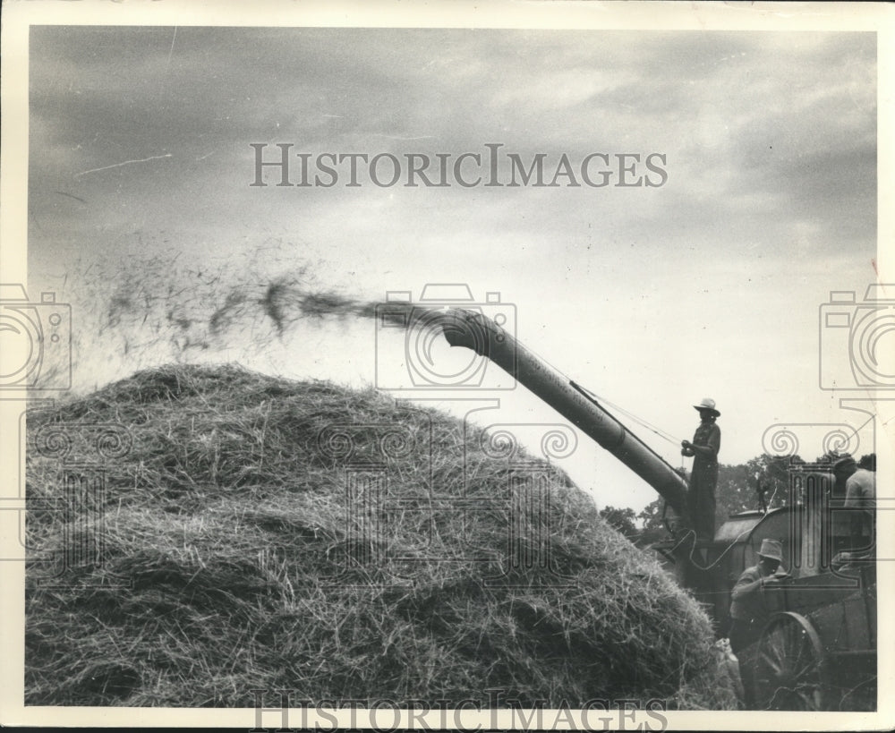 1937 Press Photo Grain and Hay Farming - mjb04691-Historic Images