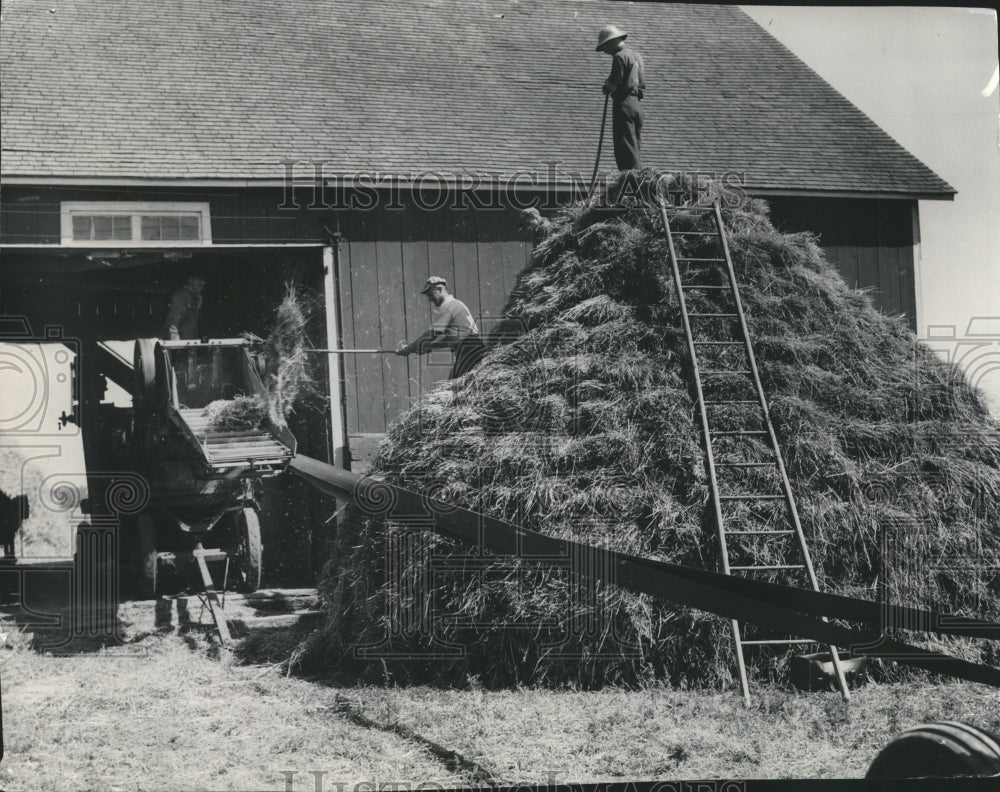 1939 Press Photo Farmers Working With Hay next to a barn - mjb04701-Historic Images