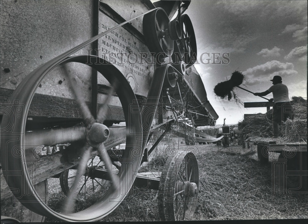1982 Press Photo Norman Smith Forks Oats into Thresher Near Elroy, Wisconsin - Historic Images