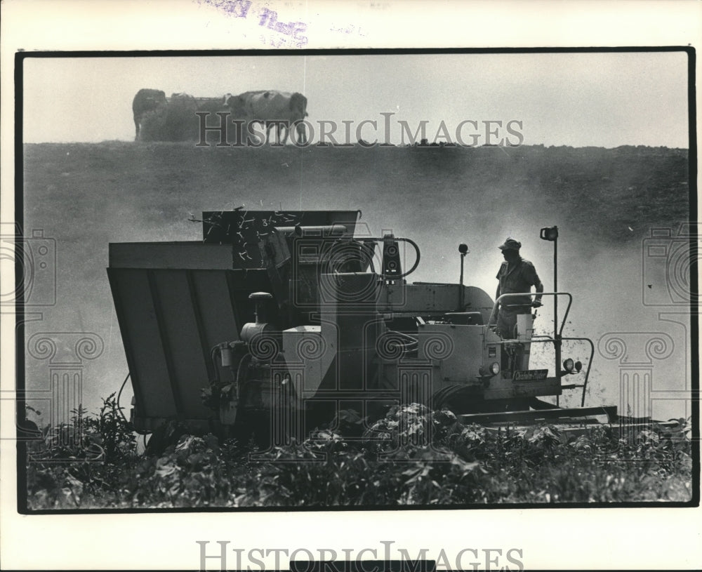 1983 Press Photo Bean picker on the Art Woodward family farm in Wisconsin- Historic Images