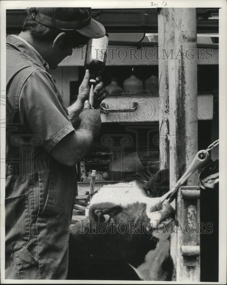 1979 Press Photo Veterinarian Mike Beisbier of Reedsburg Gives Vaccinations - Historic Images