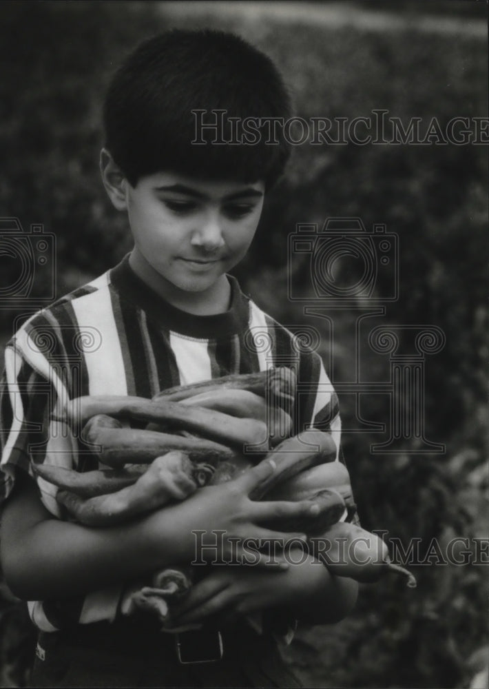 1994 Press Photo Abdullah Kurter of Hoffman Estates, Illinois with Yellow Pepper - Historic Images