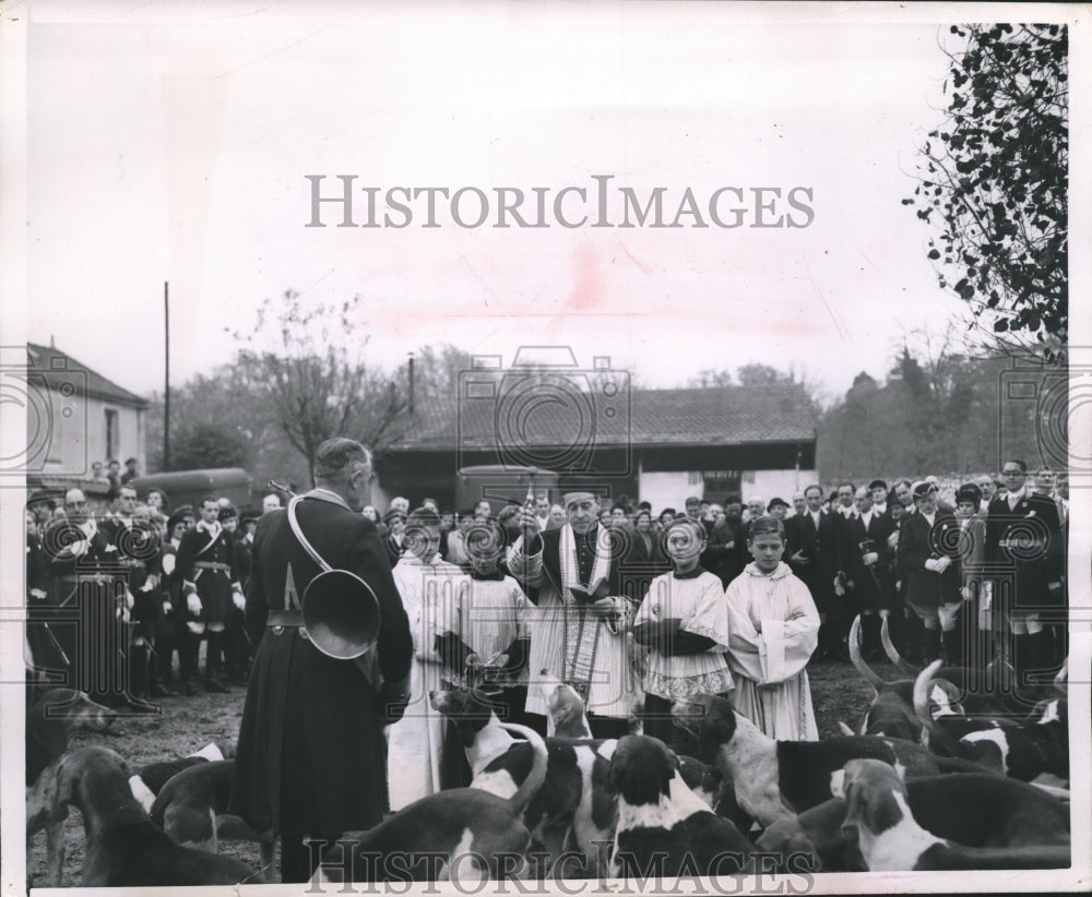 Press Photo Hounds at Blessing of the Hounds before Patron Day Hunt in France - Historic Images