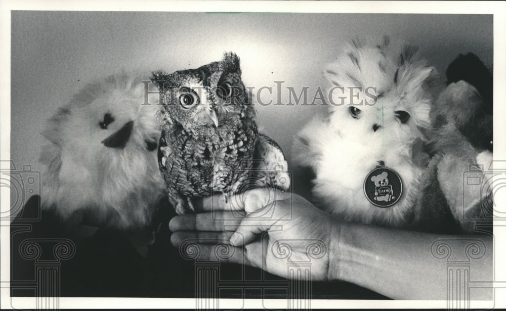 1983 Shorewood animal rehabilitator Nancy Frank with Earl the owl-Historic Images