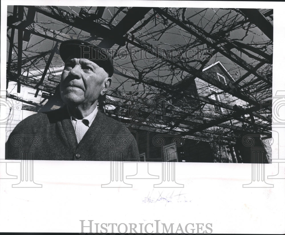 1975 Press Photo 91 year old Historian Angelo Foti from Bay View Gardens - Historic Images