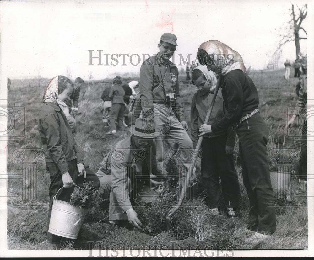 1955 Press Photo 4-H club members planting trees in Calumet County - mjb10541 - Historic Images