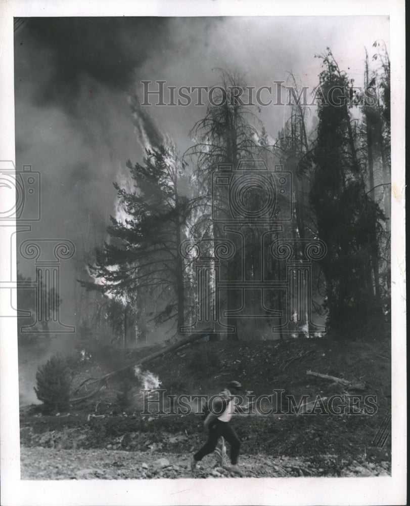 1960 Press Photo Sprawling Forest Fire in the United States of America-Historic Images