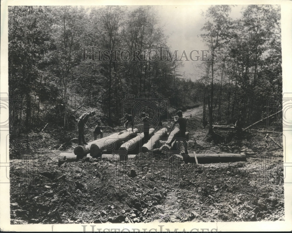 1933 Press Photo Men doing forestry work - Historic Images