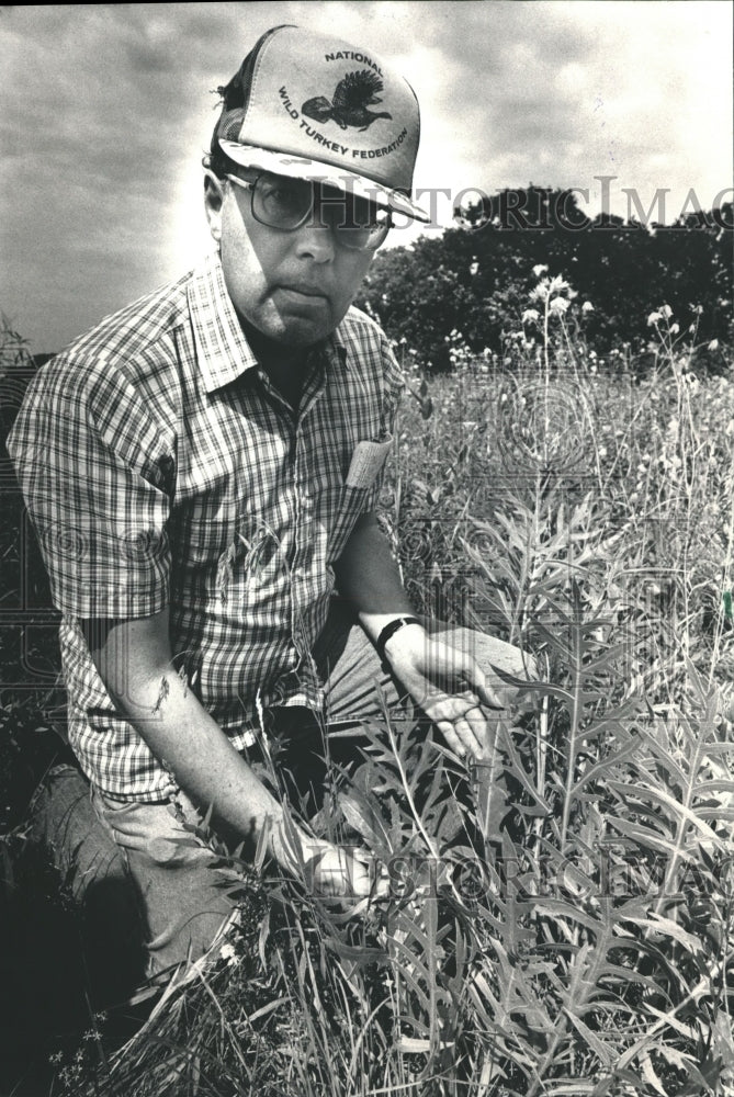 1986 Press Photo Department of Natural Resources Compass plant specimen - Historic Images