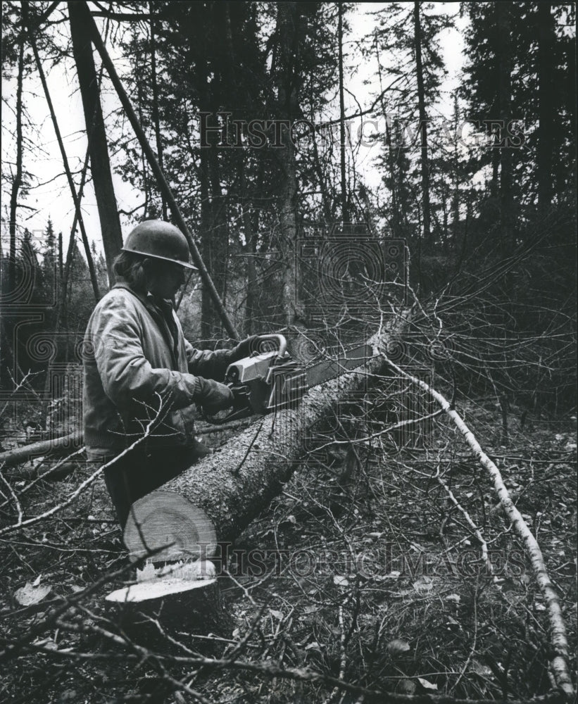 1976 Press Photo A worker cuts up a tree in near Rhinelander, Wisconsin. - Historic Images