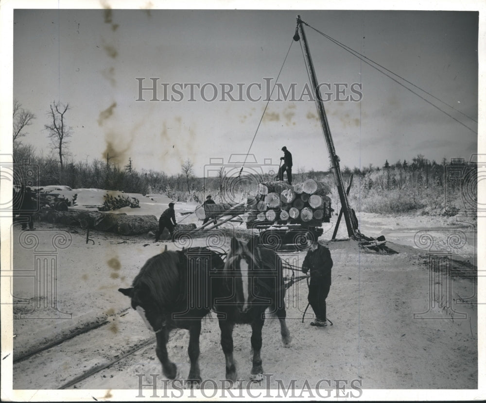 1941 Press Photo Logs are Dragged from Woods by Horses onto Railroad Flatcars - Historic Images