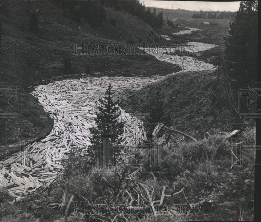 1948 Press Photo Stream Used to Transport Lumber to the Wind River - mjb15470-Historic Images