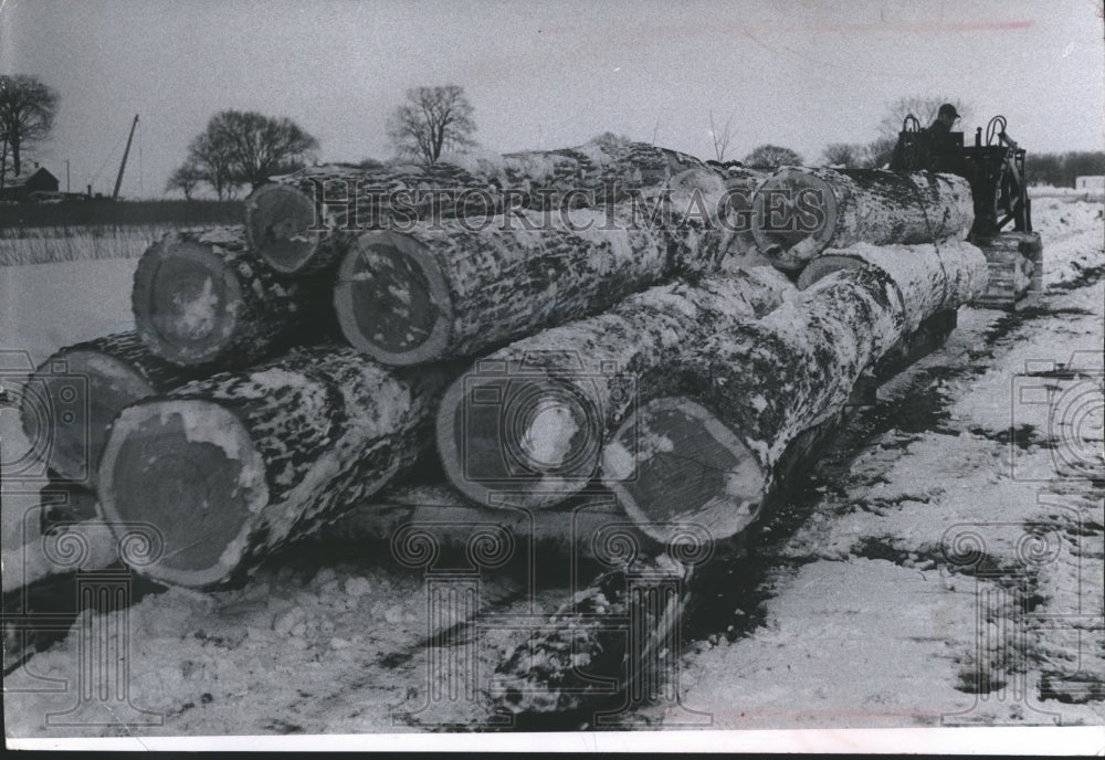 1960 Press Photo Logs From Six Adjoining Areas Being Moved to Trucks In the Snow - Historic Images