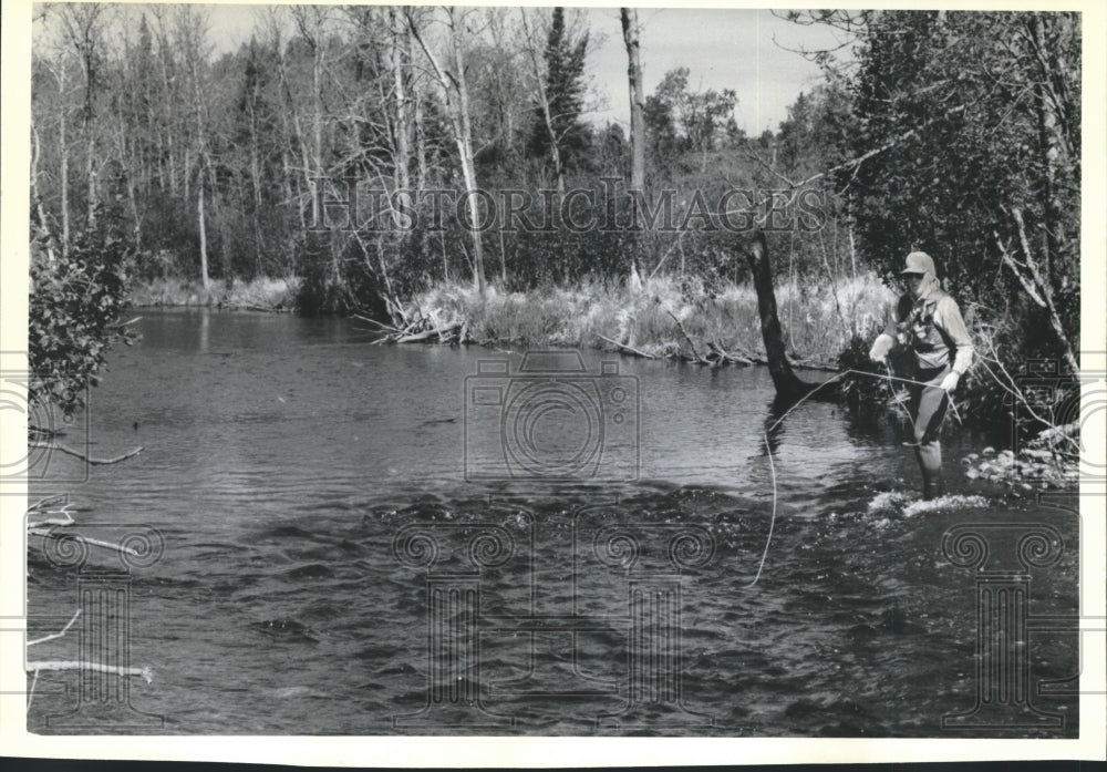 1995 Press Photo Trout fishing on Woods Creek in northeast Wisconsin - Historic Images