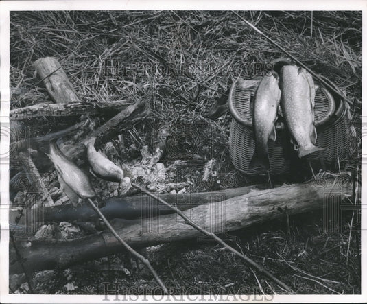 1956 Press Photo Trout sizzling on spits over an outdoor fire - mjb15633 - Historic Images