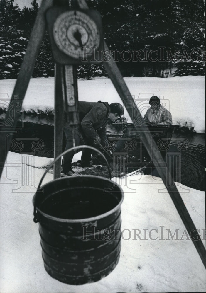 1962 Press Photo Goeman and Lawrence Vander Kelen weigh Coho Fish in Wisconsin-Historic Images