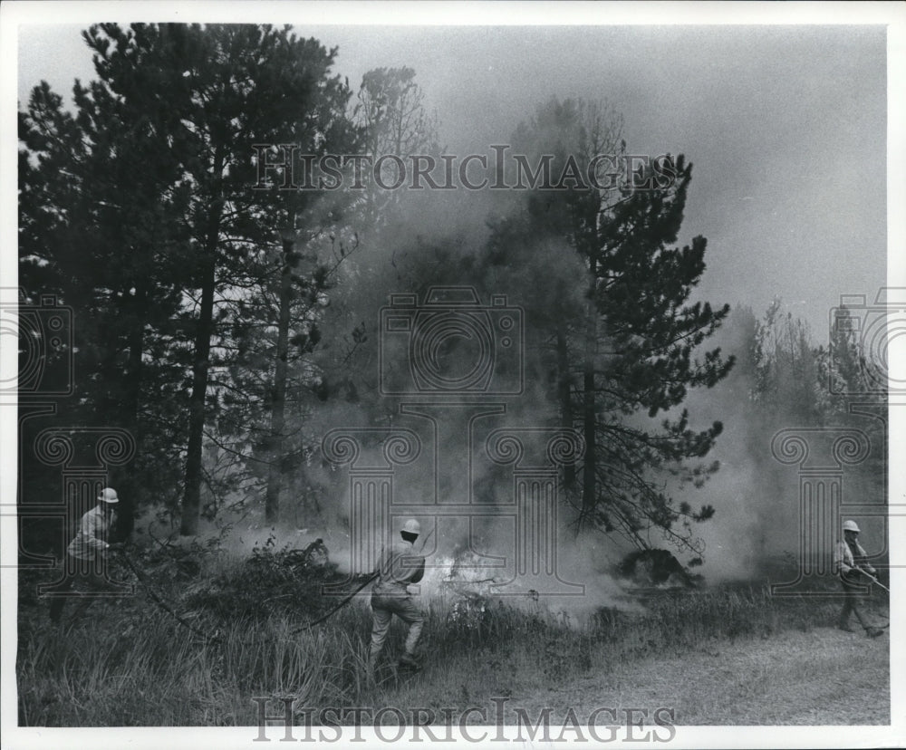 1976 Press Photo Firefighters battle Fire in Seney Wildlife Refuge in Michigan - Historic Images