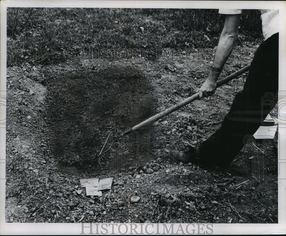 1968 Gardener Sewing Flower Seeds in Garden by Raking Across Soil-Historic Images