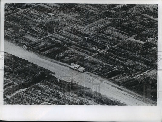 1975 Press Photo Garden plots on County Institutions grounds in Milwaukee County - Historic Images