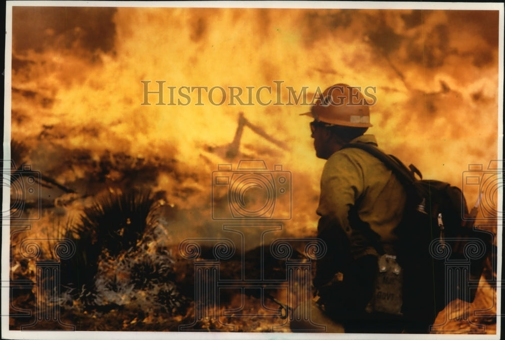 1993 Press Photo A backfire is set at a wildfire near Santa Barbara, California - Historic Images