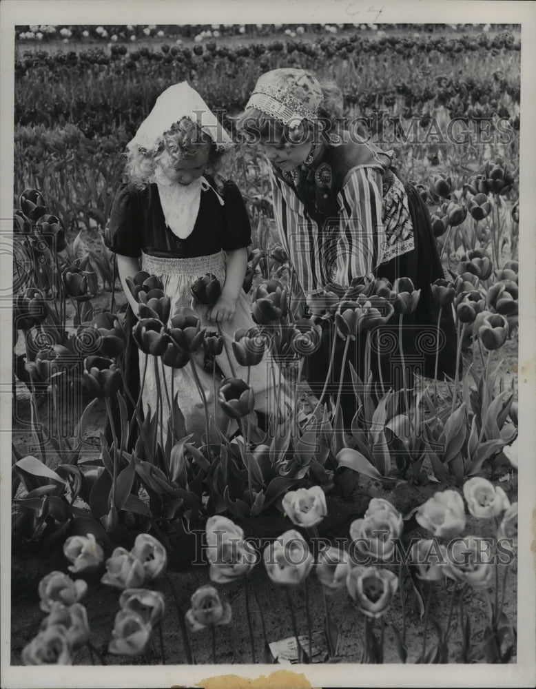 1949 Press Photo Two Dutch girls walk in the tulips at tulip festival, Michigan. - Historic Images