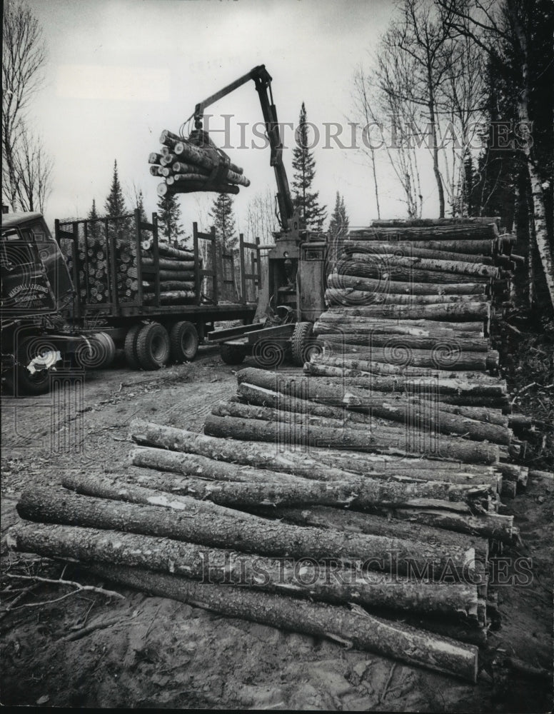 1975 Press Photo Machine loading logs on truck near Rhinelander, Wisconsin-Historic Images